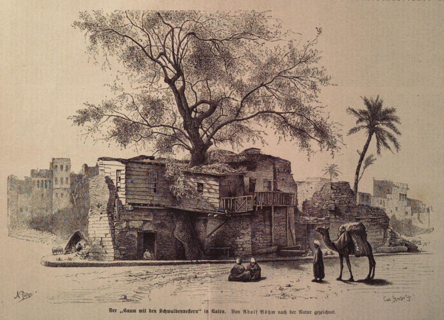 Der Baum mit den Schwalbennestern in Kairo / Adolf Böhm